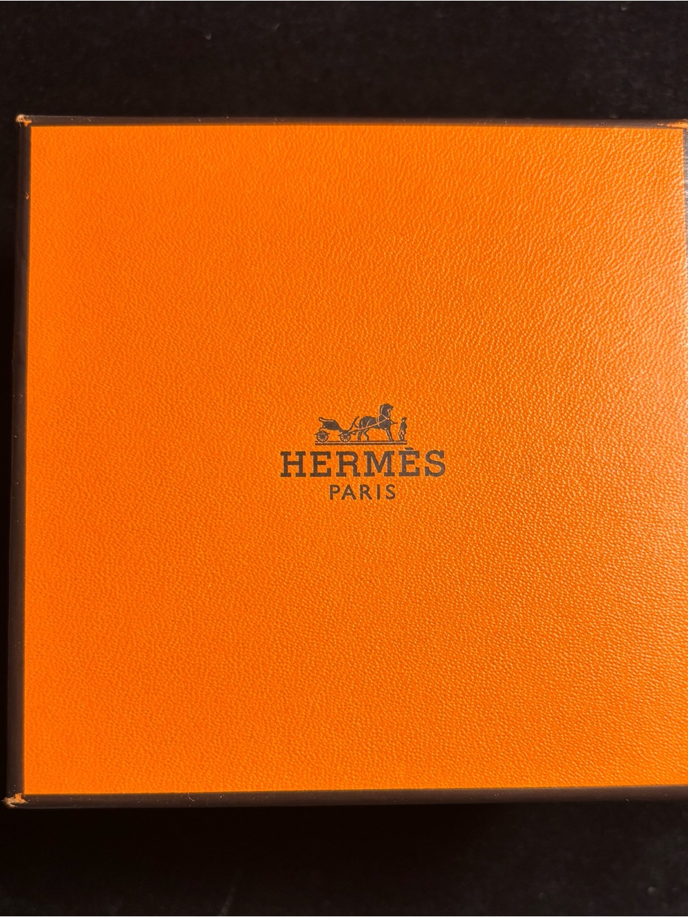 Hermès Collier de Chien